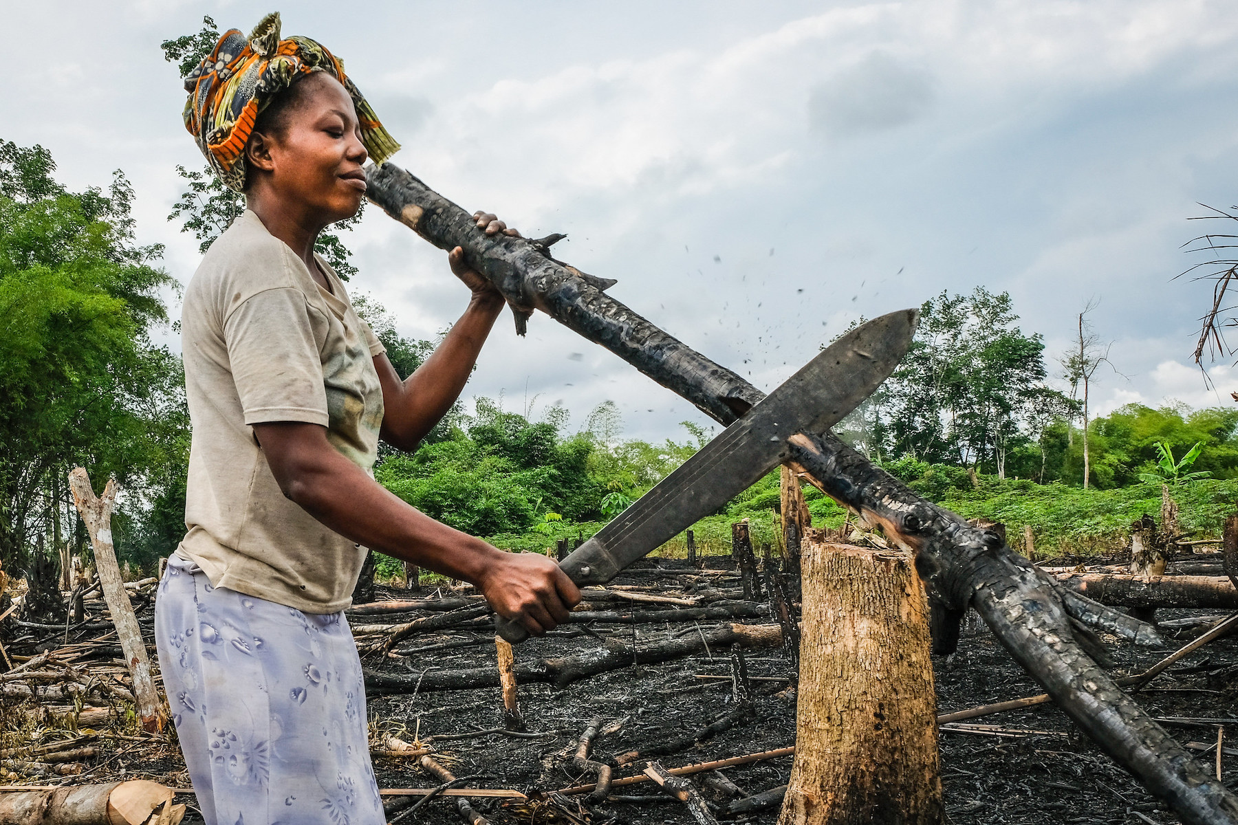 In the Democratic Republic of Congo (DRC), subsistence farming is a leading cause of forest loss. Image by Axel Fassio/CIFOR via Flickr (CC BY-NC-ND 2.0).