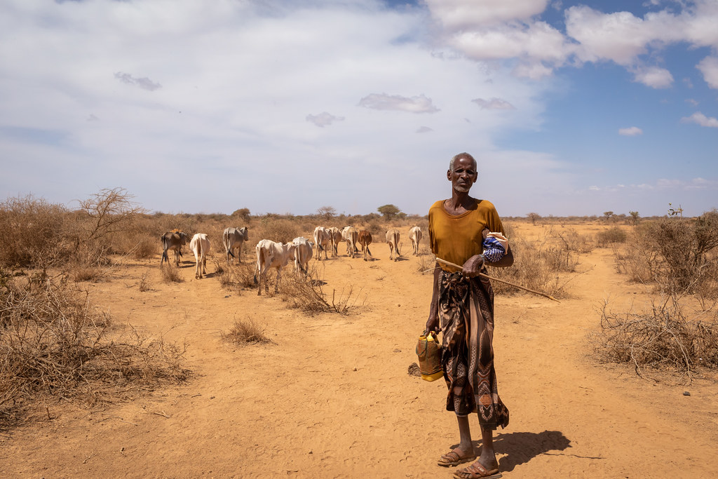 Hussen Ahmed, a cattle herder in Ethiopia's Somali region. He is one of millions of people coping with the effects of drought in the Horn of Africa. Image by UNICEF Ethiopia/Mulugeta Ayene via Flickr (CC BY-NC-ND 2.0).