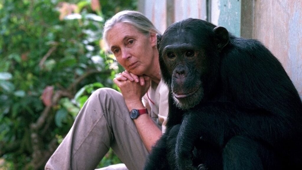 How Jane Goodall Helps Tampa Bay Kids Understand the Environment | Chronicle