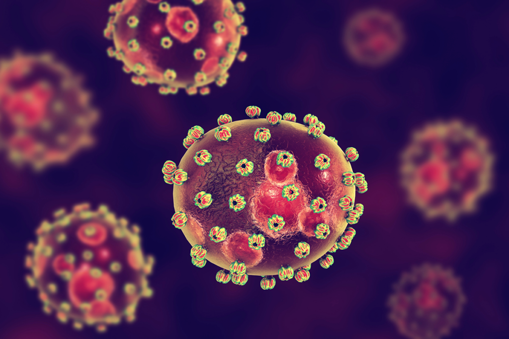 3D illustration of Lassa fever virus. Multiple bean-shaped globes with disc-shaped bumps all over their surface.